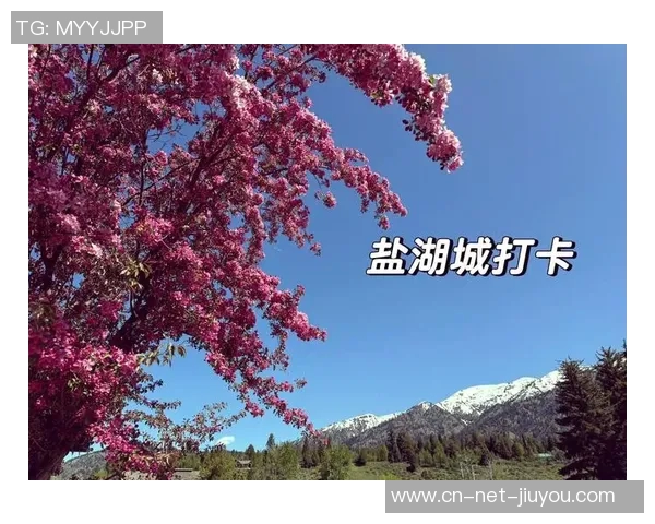 盐湖城对比其他城市的旅游魅力与生活品质分析