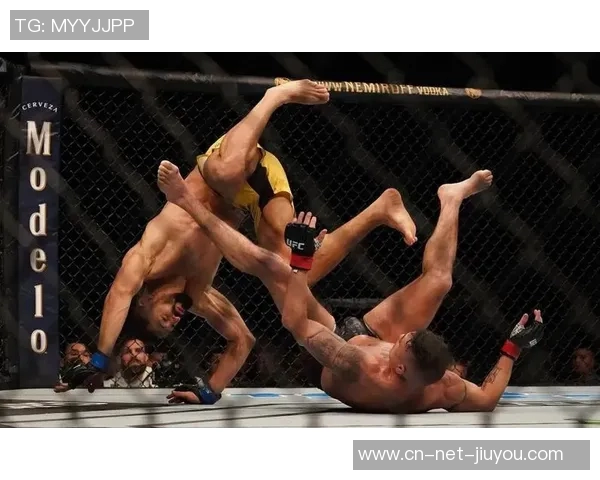 UFC小菊与锤子激烈对决谁将成为擂台上的最终胜者 UFC小菊与锤子激烈对决谁将成为擂台上的最终胜者